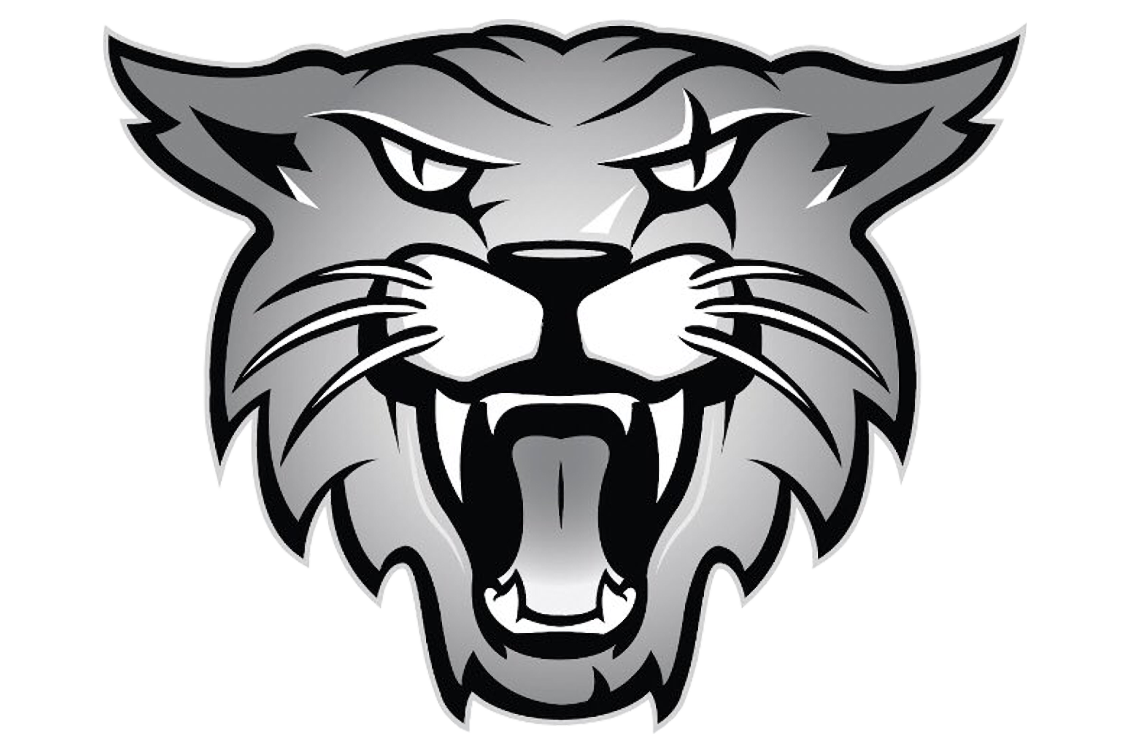 Wildcat watermark